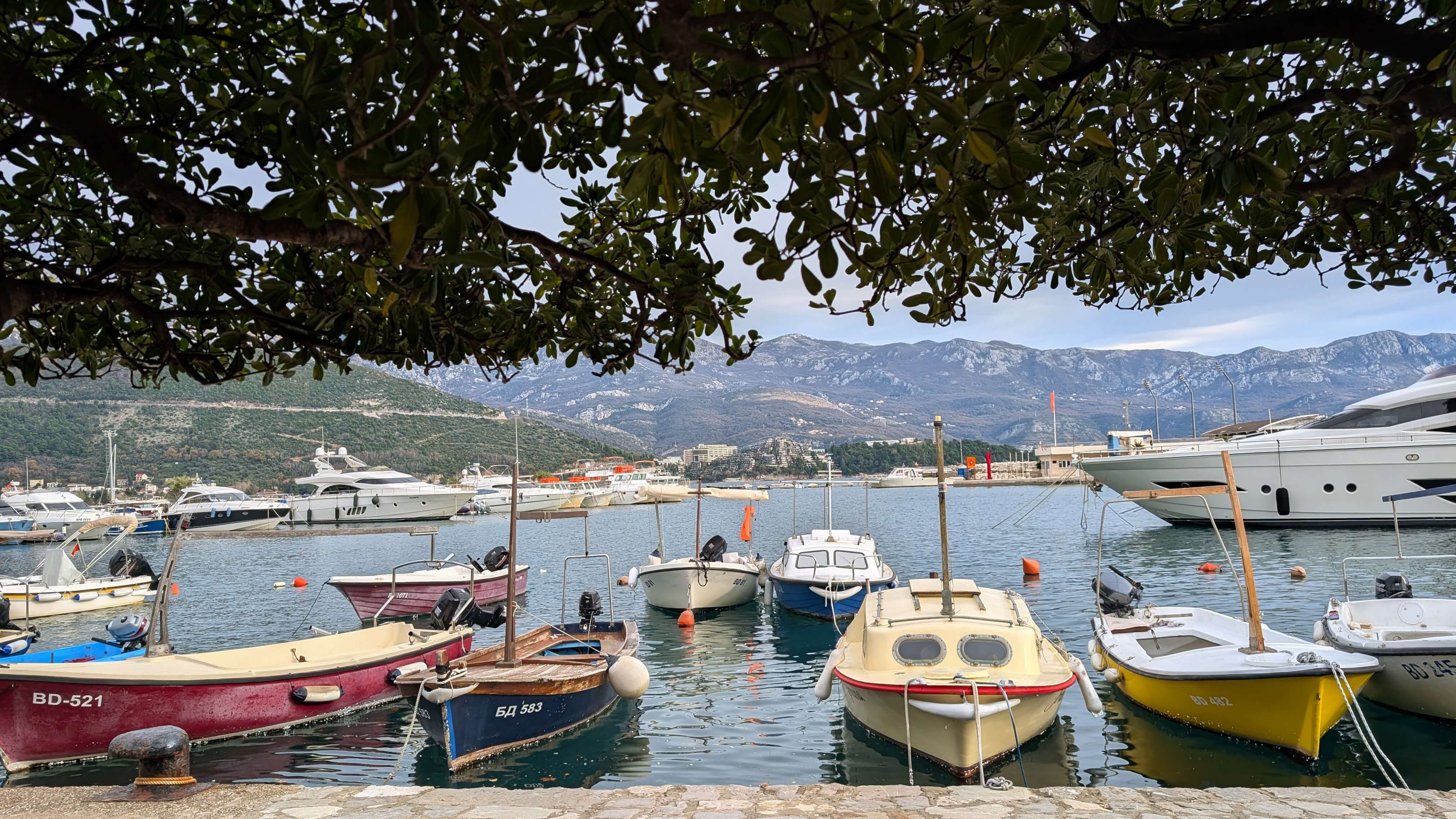 Insurance in Montenegro